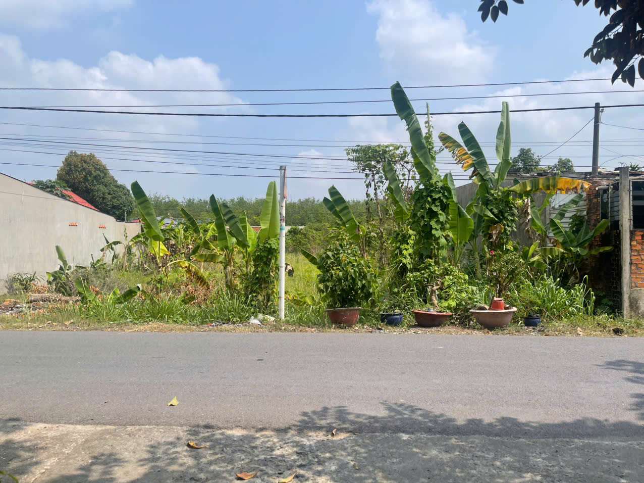CC258 Đất Củ Chi làm nhà vườn 1.480 m2 có sẵn 300m thổ cư xã Phú Hòa Đông đường oto lộ giới 12m