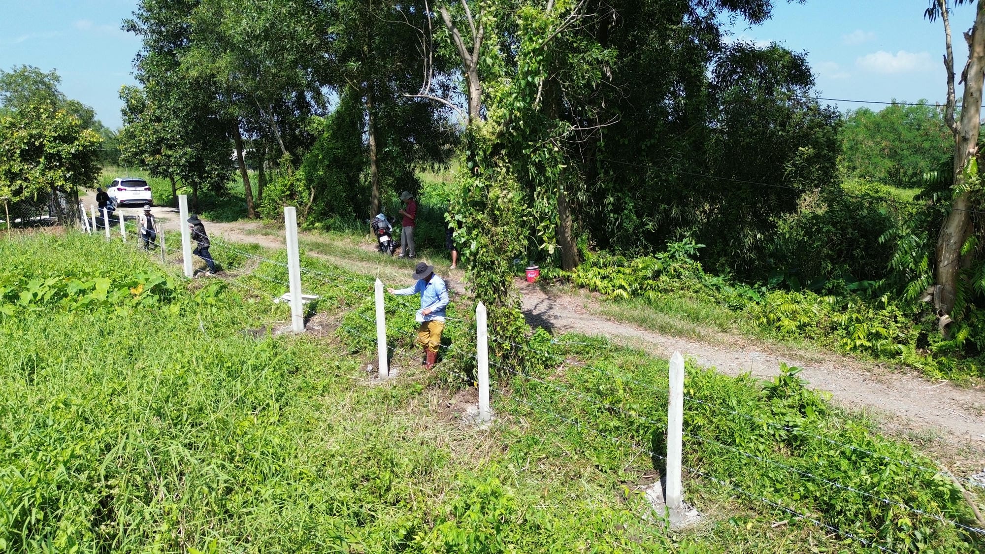Hàng rào kẽm gai trụ xi măng chuẩn bị bàn giao- BĐS NTH.JPG (743 KB)